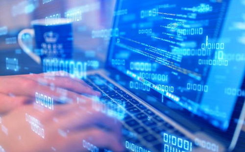 技術筑基，方行遠路 網絡安全衛士的必備技能圖譜